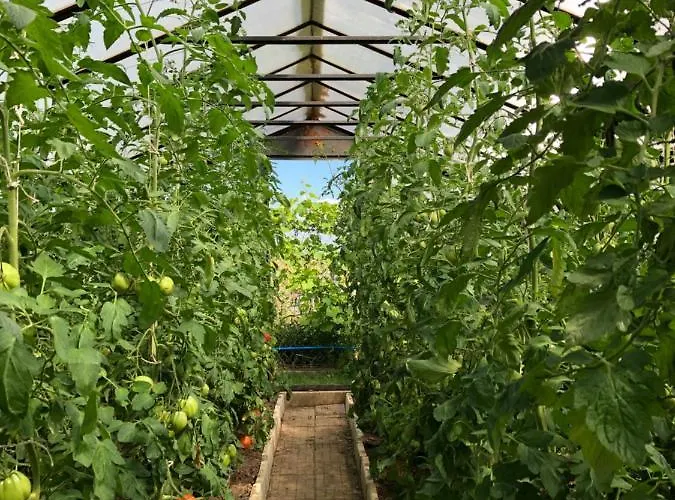 Apartmán Wiejski W Domu Nad Jeziorem