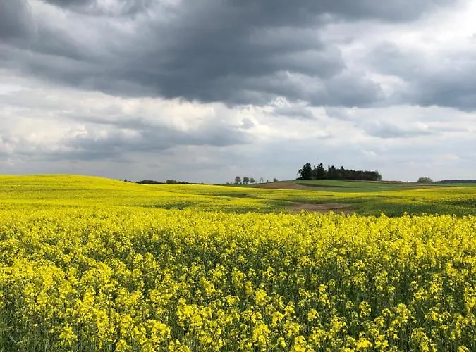 Wiejski W Domu Nad Jeziorem * Mikołajki